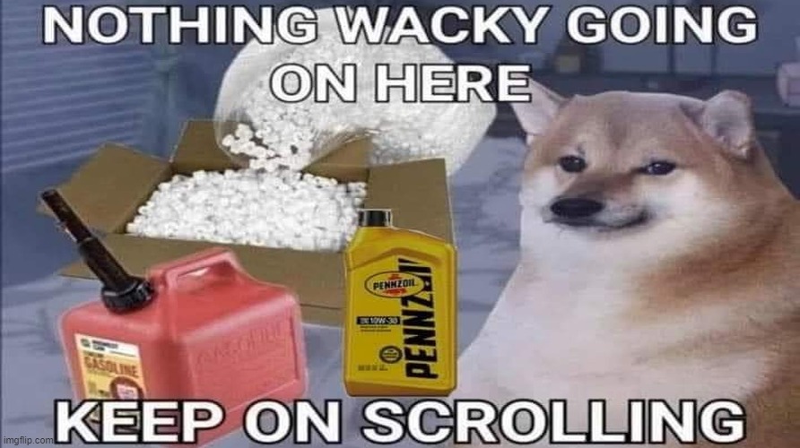 Nope nothin' wacky goin' on here | image tagged in nothing to see here | made w/ Imgflip meme maker