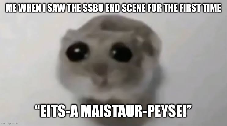 Sad Hamster | ME WHEN I SAW THE SSBU END SCENE FOR THE FIRST TIME; “EITS-A MAISTAUR-PEYSE!” | image tagged in sad hamster | made w/ Imgflip meme maker