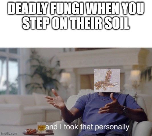 ...and I took that personally | DEADLY FUNGI WHEN YOU
STEP ON THEIR SOIL | image tagged in and i took that personally | made w/ Imgflip meme maker