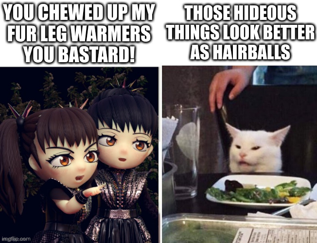 squishy fashion advice | YOU CHEWED UP MY
FUR LEG WARMERS
YOU BASTARD! THOSE HIDEOUS
THINGS LOOK BETTER
AS HAIRBALLS | image tagged in salad cat | made w/ Imgflip meme maker