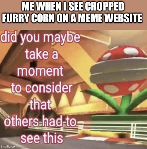 Did you maybe take a moment to consider others had to see this | ME WHEN I SEE CROPPED FURRY CORN ON A MEME WEBSITE | image tagged in did you maybe take a moment to consider others had to see this | made w/ Imgflip meme maker
