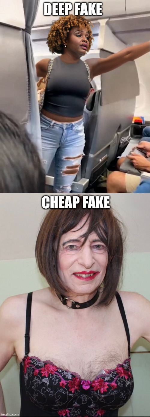 CHEAP FAKE DEEP FAKE | image tagged in deep fake,that's a woman too | made w/ Imgflip meme maker