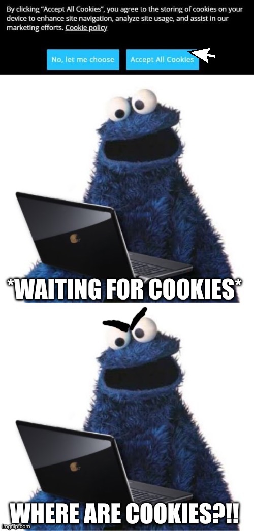 Where are cookies?!! | image tagged in cookie monster computer,cookie monster,computer,laptop,cookies | made w/ Imgflip meme maker