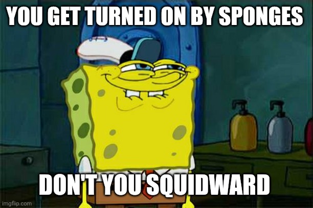 Don't You Squidward Meme | YOU GET TURNED ON BY SPONGES DON'T YOU SQUIDWARD | image tagged in memes,don't you squidward | made w/ Imgflip meme maker
