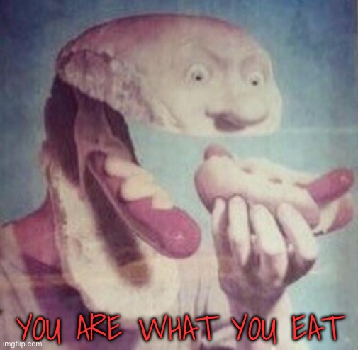 You are what you eat | YOU ARE WHAT YOU EAT | image tagged in hotdog,hotdogs | made w/ Imgflip meme maker