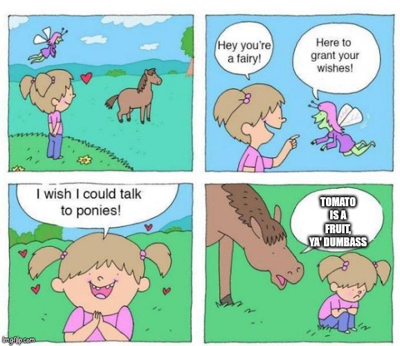 Talk to Ponies | TOMATO IS A FRUIT, YA' DUMBASS | image tagged in talk to ponies,oh wow are you actually reading these tags | made w/ Imgflip meme maker