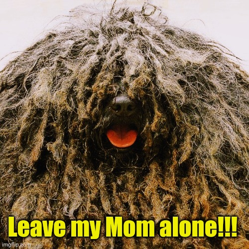 Kanine Jean Pierre | Leave my Mom alone!!! | image tagged in kanine jean pierre | made w/ Imgflip meme maker