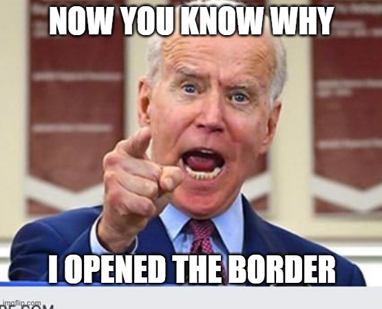 Joe Biden no malarkey | NOW YOU KNOW WHY I OPENED THE BORDER | image tagged in joe biden no malarkey | made w/ Imgflip meme maker