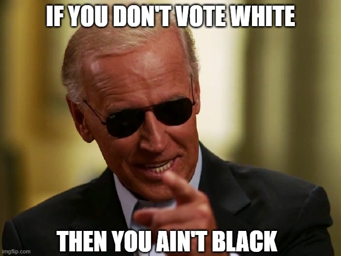 Cool Joe Biden | IF YOU DON'T VOTE WHITE THEN YOU AIN'T BLACK | image tagged in cool joe biden | made w/ Imgflip meme maker