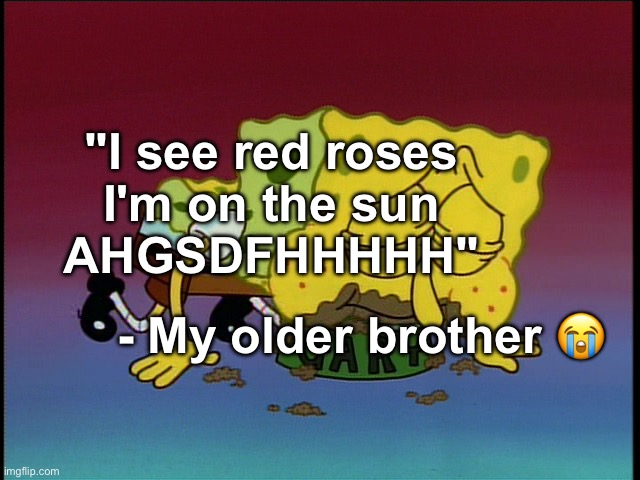 idk we laughed way too hard at it ☠️ | "I see red roses
I'm on the sun
AHGSDFHHHHH"; - My older brother 😭 | made w/ Imgflip meme maker