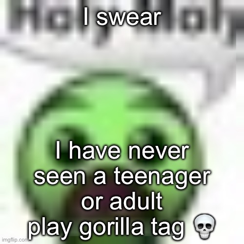 holy moly | I swear; I have never seen a teenager or adult play gorilla tag 💀 | image tagged in holy moly | made w/ Imgflip meme maker