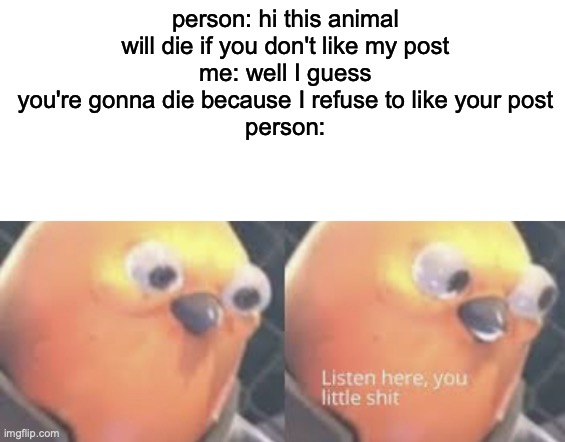 Can we all relate? | person: hi this animal will die if you don't like my post
me: well I guess you're gonna die because I refuse to like your post
person: | image tagged in listen here you little shit bird | made w/ Imgflip meme maker