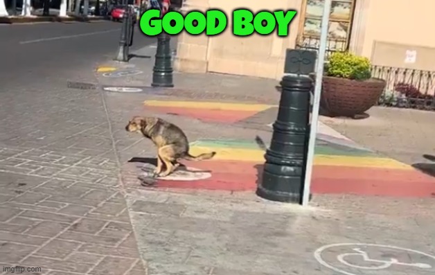 Pride Pile | GOOD BOY | image tagged in pride,dog poop,good boy,straight,dump,2 genders | made w/ Imgflip meme maker