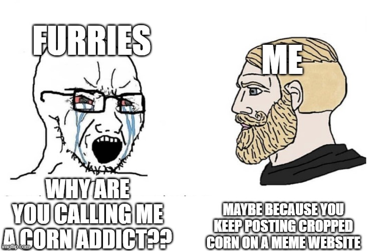 Soyboy Vs Yes Chad | WHY ARE YOU CALLING ME A CORN ADDICT?? MAYBE BECAUSE YOU KEEP POSTING CROPPED CORN ON A MEME WEBSITE FURRIES ME | image tagged in soyboy vs yes chad | made w/ Imgflip meme maker