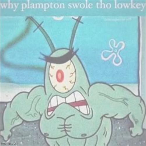 Why Plampton Swole Tho Lowkey | made w/ Imgflip meme maker