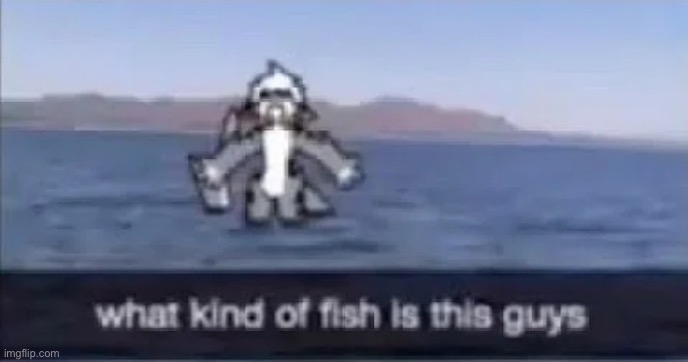 What kind of fish is this | image tagged in what kind of fish is this | made w/ Imgflip meme maker