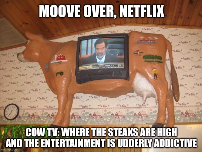 Cow tv | MOOVE OVER, NETFLIX; COW TV: WHERE THE STEAKS ARE HIGH AND THE ENTERTAINMENT IS UDDERLY ADDICTIVE | image tagged in netflix,cow,cows,tv,cow tv | made w/ Imgflip meme maker