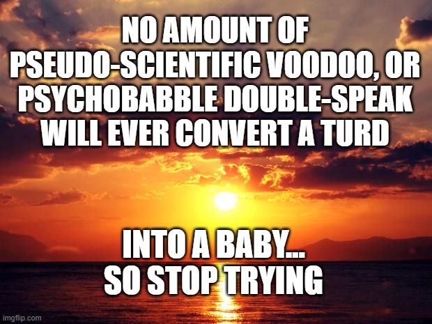 Sunset | NO AMOUNT OF PSEUDO-SCIENTIFIC VOODOO, OR PSYCHOBABBLE DOUBLE-SPEAK WILL EVER CONVERT A TURD; INTO A BABY...
SO STOP TRYING | image tagged in sunset | made w/ Imgflip meme maker