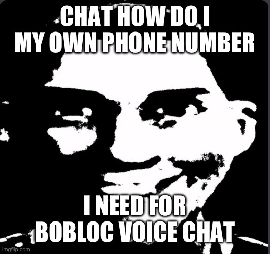 scout | CHAT HOW DO I MY OWN PHONE NUMBER; I NEED FOR BOBLOC VOICE CHAT | made w/ Imgflip meme maker