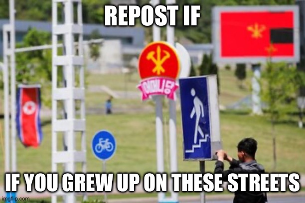 Juche streets | REPOST IF; IF YOU GREW UP ON THESE STREETS | made w/ Imgflip meme maker