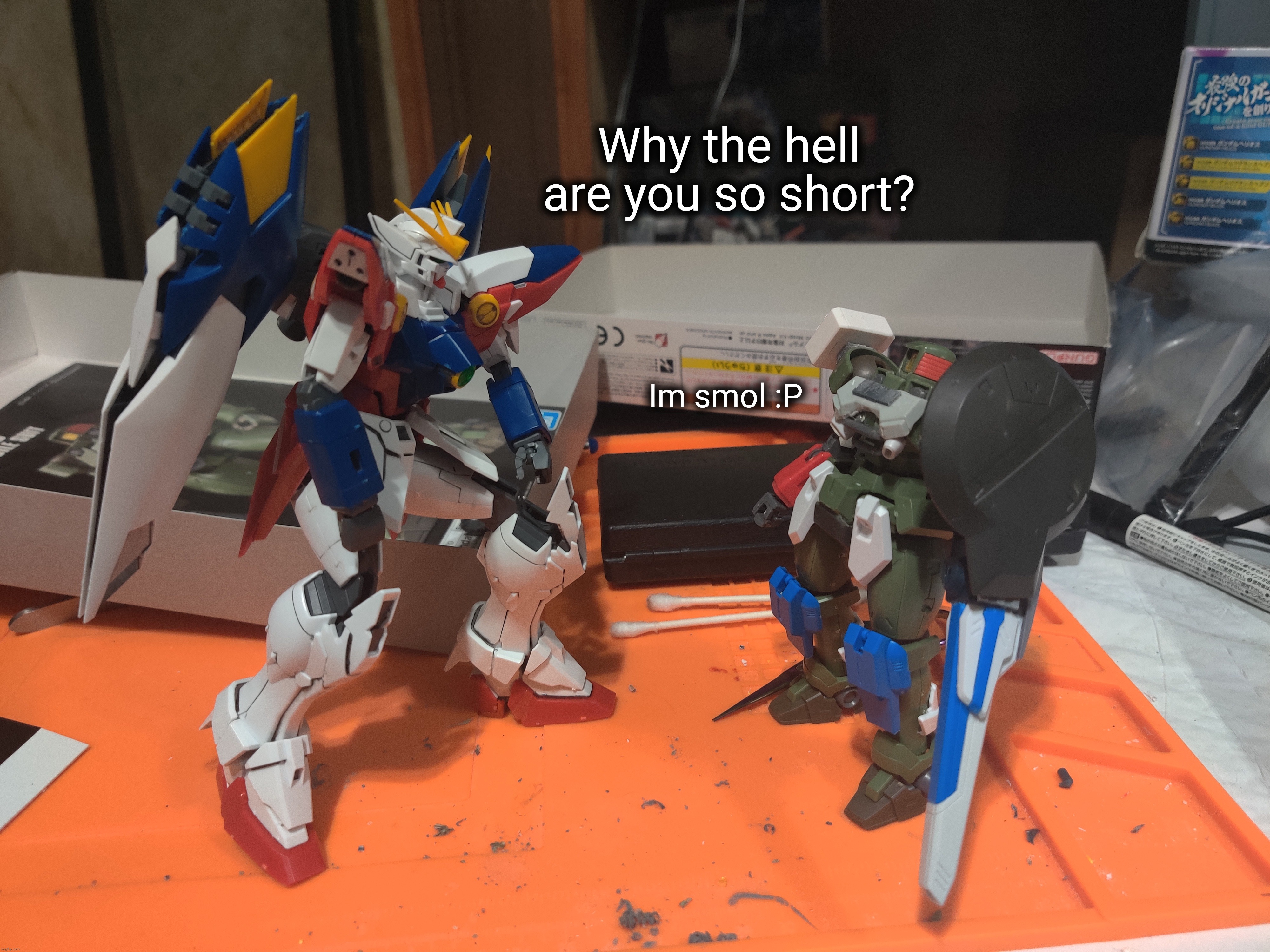 Master grade Gundam compared to a high grade (unfinished/unpainted custom) | Why the hell are you so short? Im smol :P | made w/ Imgflip meme maker