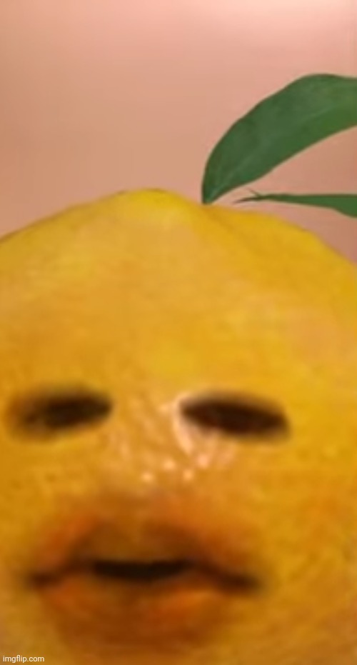 ? | made w/ Imgflip meme maker