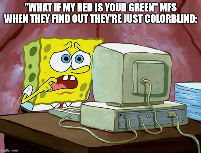 SPONGEBOB SHOCKED AT THE INTERNET, COMPUTER | "WHAT IF MY RED IS YOUR GREEN" MFS WHEN THEY FIND OUT THEY'RE JUST COLORBLIND: | image tagged in spongebob shocked at the internet computer | made w/ Imgflip meme maker