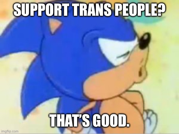 sonic that's no good | SUPPORT TRANS PEOPLE? THAT’S GOOD. | image tagged in sonic that's no good | made w/ Imgflip meme maker