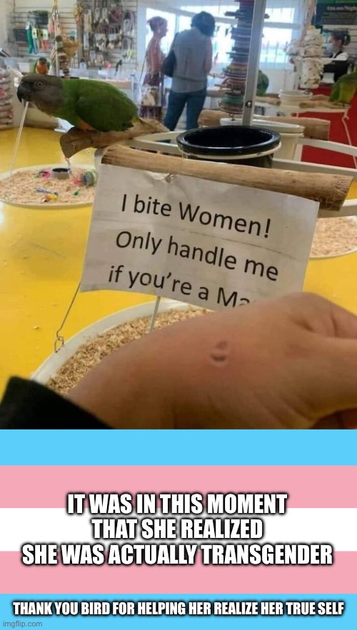 I bite women | IT WAS IN THIS MOMENT THAT SHE REALIZED SHE WAS ACTUALLY TRANSGENDER; THANK YOU BIRD FOR HELPING HER REALIZE HER TRUE SELF | image tagged in lgbtq,transgender,men,women,birds,bird | made w/ Imgflip meme maker