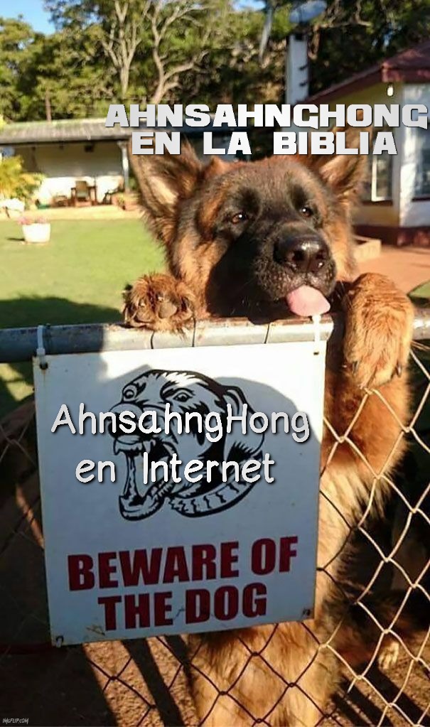 Beware Of The Dog | image tagged in beware of the dog | made w/ Imgflip meme maker