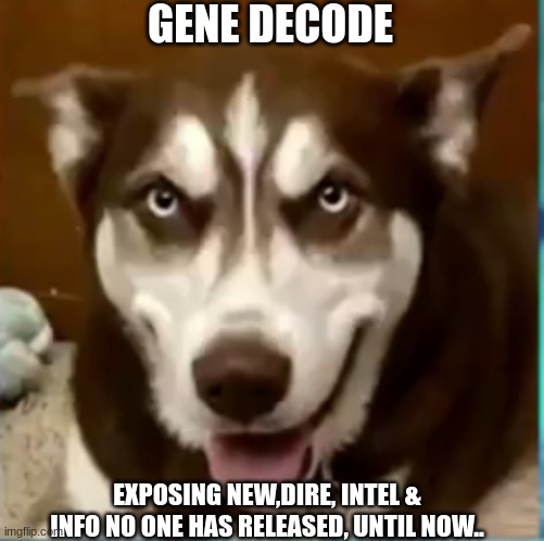 Gene Decode: Exposing New,Dire, Intel & Info No One Has Released, Until NOW.. (Video) 