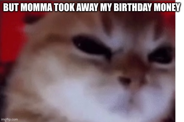 BUT MOMMA TOOK AWAY MY BIRTHDAY MONEY | made w/ Imgflip meme maker