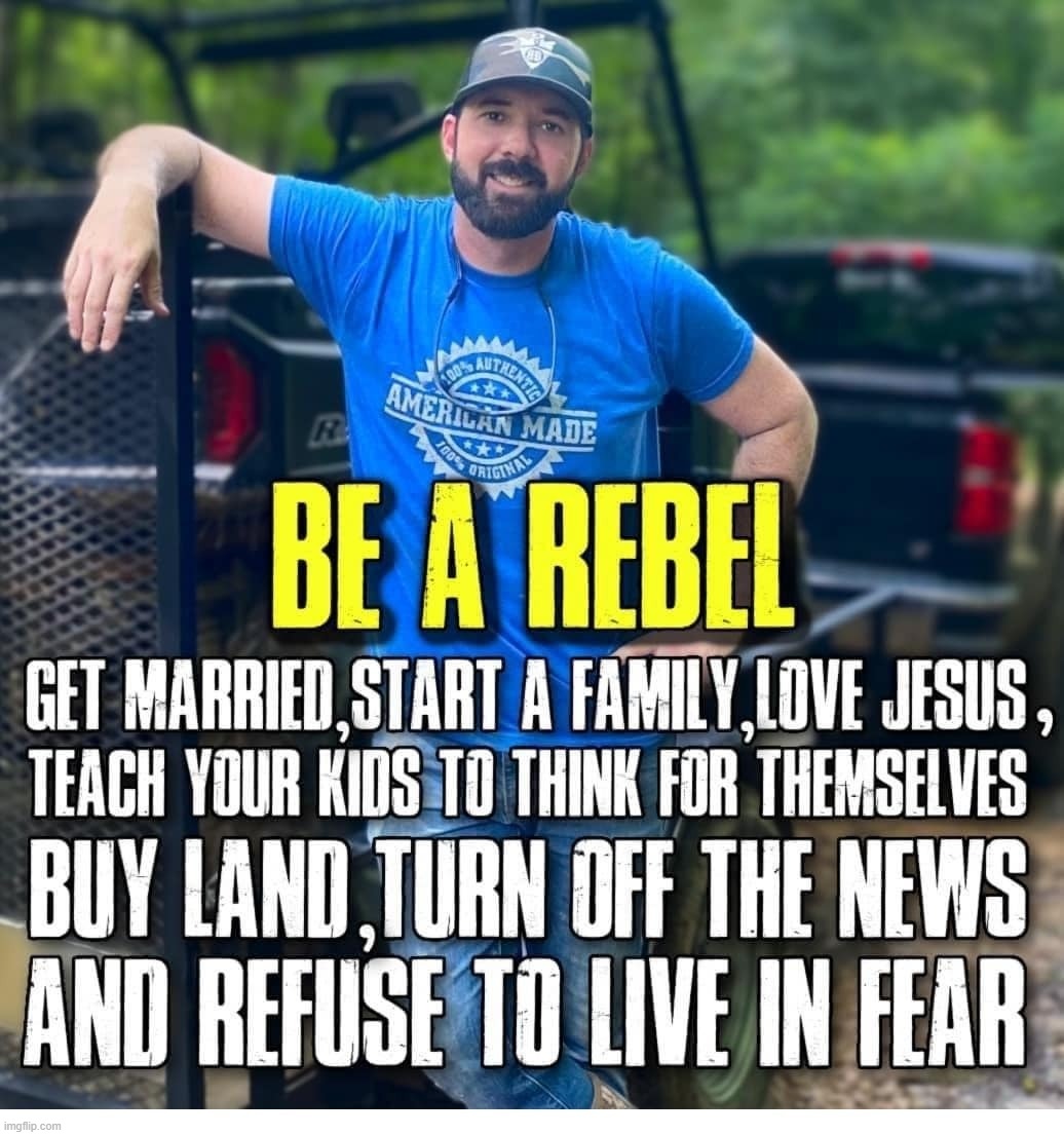 Be a rebel. Like Buddy Brown & me. | image tagged in be a rebel,rebel,buddy brown,giga chad template,giga chad,gigachad | made w/ Imgflip meme maker