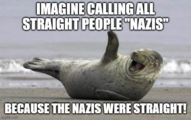 laughing seal | IMAGINE CALLING ALL STRAIGHT PEOPLE "NAZIS"; BECAUSE THE NAZIS WERE STRAIGHT! | image tagged in laughing seal,straight,nazi,nazis,lgbtq,lgbt | made w/ Imgflip meme maker