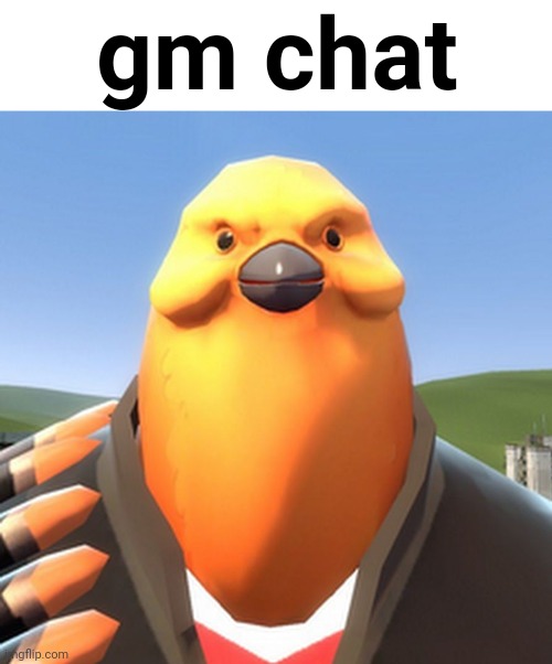 Pootis Bird | gm chat | made w/ Imgflip meme maker