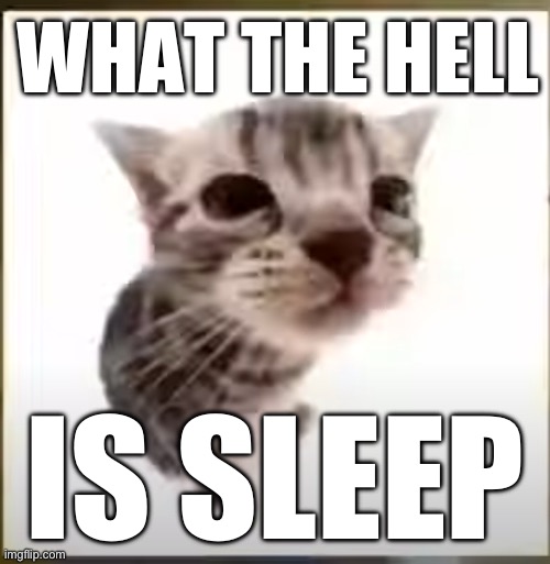 I always be hearin bout this shit | WHAT THE HELL; IS SLEEP | image tagged in el gatito | made w/ Imgflip meme maker