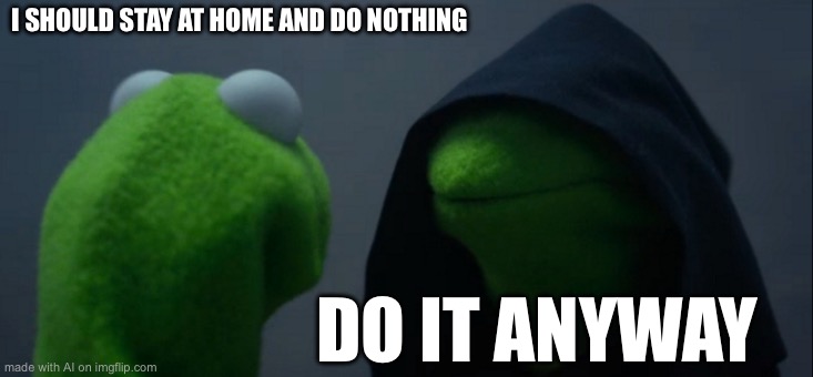 Evil Kermit Meme | I SHOULD STAY AT HOME AND DO NOTHING; DO IT ANYWAY | image tagged in memes,evil kermit | made w/ Imgflip meme maker