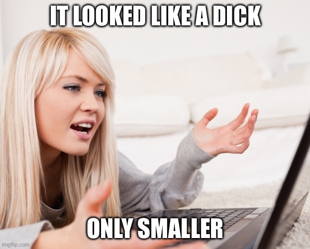 frustrated hot computer girl | IT LOOKED LIKE A DICK ONLY SMALLER | image tagged in frustrated hot computer girl | made w/ Imgflip meme maker