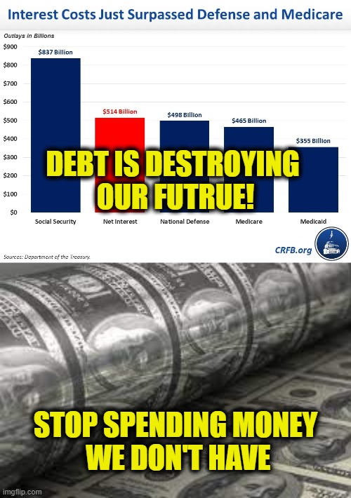 Uniparty spending is not sustainable | DEBT IS DESTROYING 
OUR FUTRUE! STOP SPENDING MONEY
 WE DON'T HAVE | image tagged in debt | made w/ Imgflip meme maker