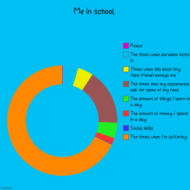 Me in school | The times when I'm suffering, Social skills, The amount of money I spend in a day, The amount of things I learn in a day, The | image tagged in charts,donut charts,oh wow are you actually reading these tags | made w/ Imgflip chart maker