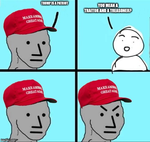 MAGA NPC (AN AN0NYM0US TEMPLATE) | YOU MEAN A TRAITOR AND A TREASONER? TRUMP IS A PATRIOT | image tagged in maga npc an an0nym0us template | made w/ Imgflip meme maker