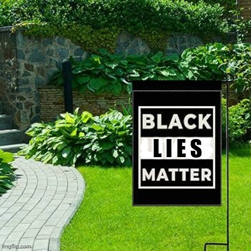 Black Lies Matter | image tagged in black lies matter | made w/ Imgflip meme maker