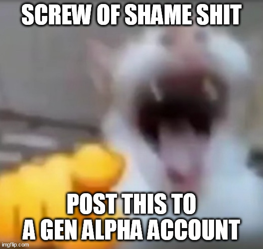 fun fact: shit | SCREW OF SHAME SHIT; POST THIS TO A GEN ALPHA ACCOUNT | image tagged in cat pointing and laughing | made w/ Imgflip meme maker