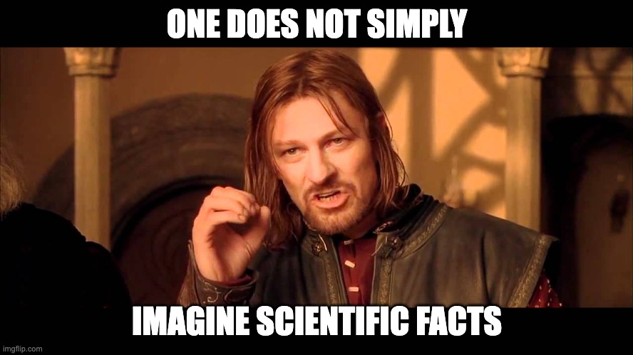 Lord of the rings boromir meme