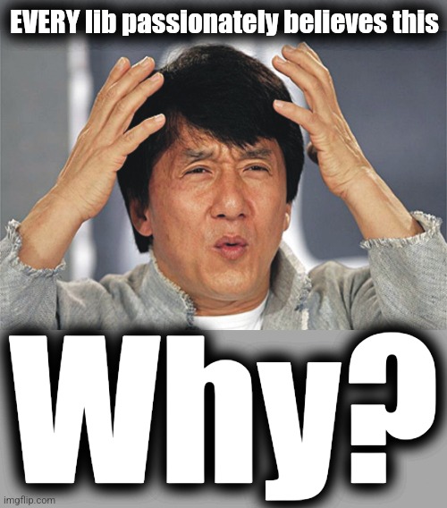 EVERY lib passionately believes this Why? | image tagged in jackie chan confused,gray blank | made w/ Imgflip meme maker