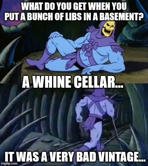 Have your earplugs handy | WHAT DO YOU GET WHEN YOU PUT A BUNCH OF LIBS IN A BASEMENT? A WHINE CELLAR... IT WAS A VERY BAD VINTAGE... | image tagged in skeletor disturbing facts | made w/ Imgflip meme maker