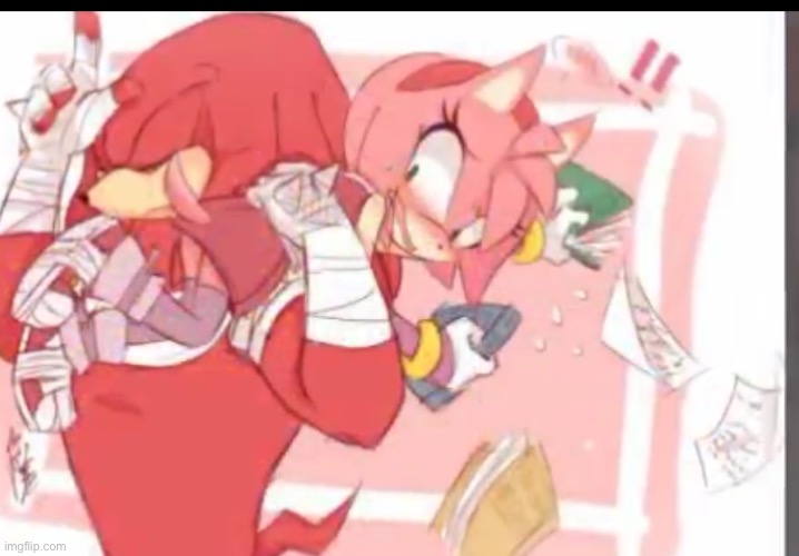 BRINGING HOME HOT SEXY AMY ROSE FOF INTERCOURSE!!!!!! | image tagged in bringing home hot sexy amy rose fof intercourse | made w/ Imgflip meme maker