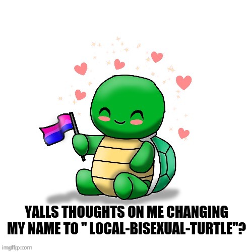 i loooove turtles | YALLS THOUGHTS ON ME CHANGING MY NAME TO " LOCAL-BISEXUAL-TURTLE"? | image tagged in tdym bi turtle | made w/ Imgflip meme maker