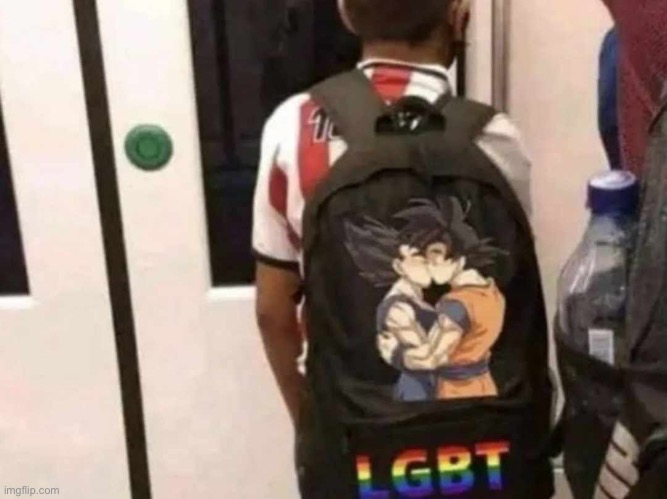 How to get bullied 101 | image tagged in lgbtq dragonball kid | made w/ Imgflip meme maker