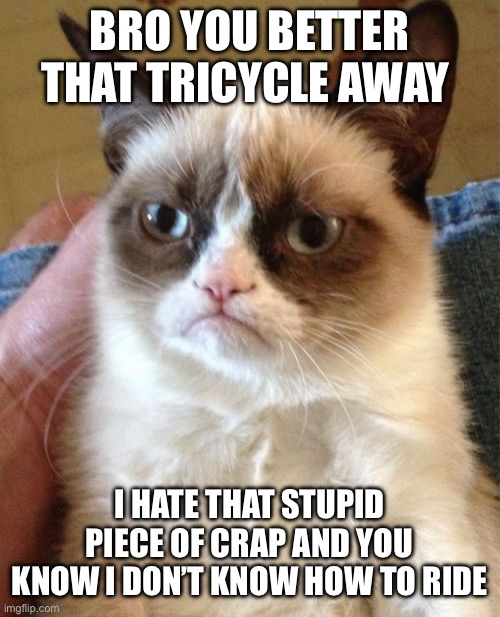 Grumpy Cat Meme | BRO YOU BETTER THAT TRICYCLE AWAY; I HATE THAT STUPID PIECE OF CRAP AND YOU KNOW I DON’T KNOW HOW TO RIDE | image tagged in memes,grumpy cat | made w/ Imgflip meme maker